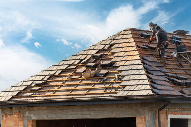 Best Roofing for New Construction  in Taos, NM